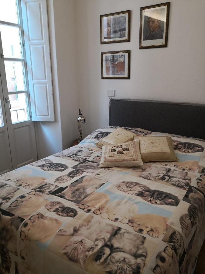 Casa Del Conte Massimiliano Roero Apartment Cuneo Ngoại thất bức ảnh